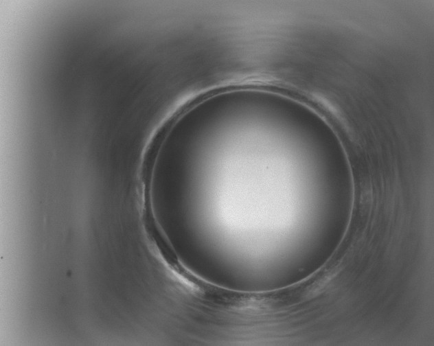 X0000072941414200607282151