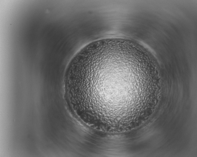 X0000072941415200607282151