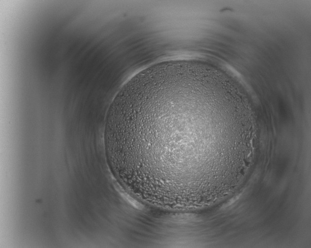 X0000072941417200607282151