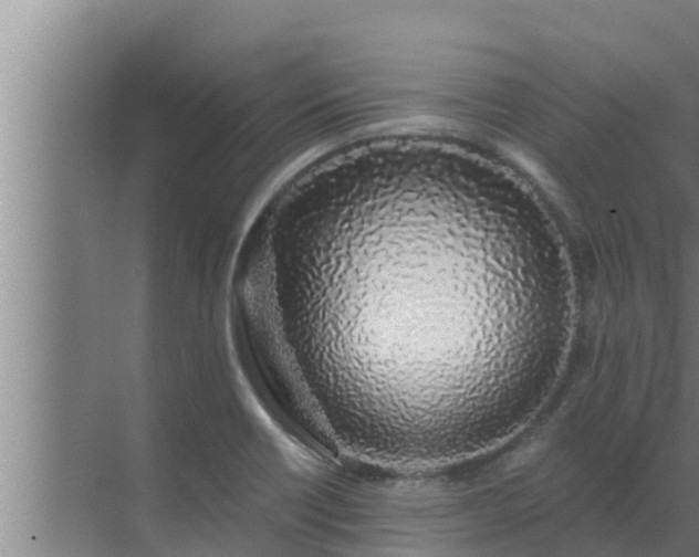 X0000072941418200607282151