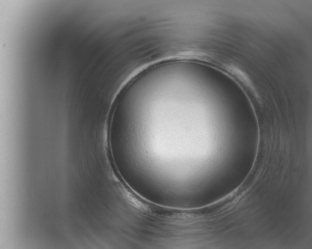 X0000072941420200607282151