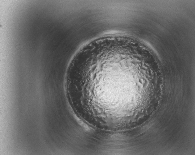 X0000072941421200607282151