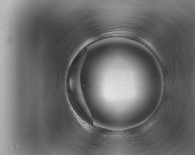 X0000072941426200607282152