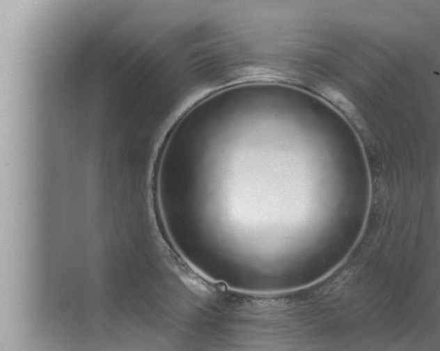 X0000072941427200607282152