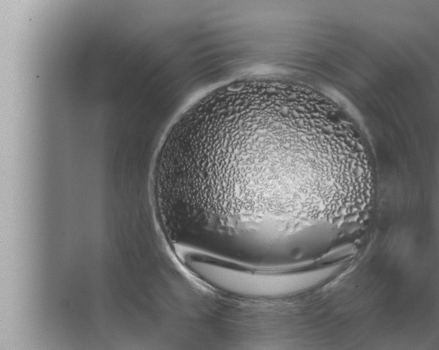 X0000072941429200607282152