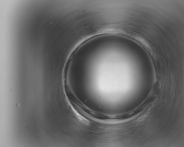 X0000072941430200607282152