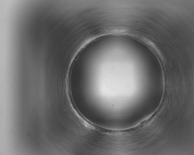 X0000072941432200607282152