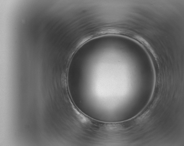 X0000072941433200607282152