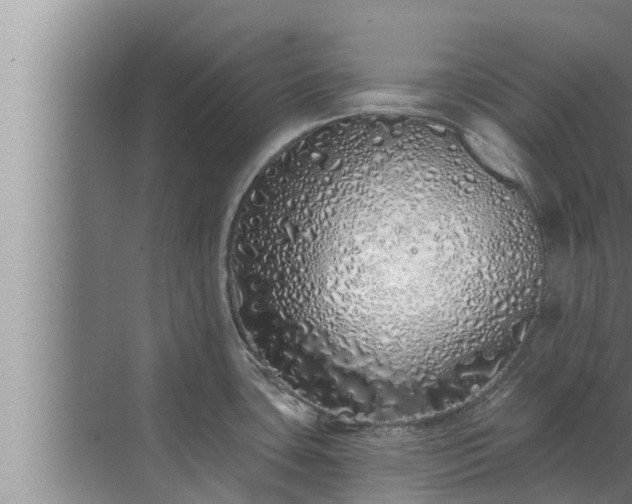 X0000072941435200607282152