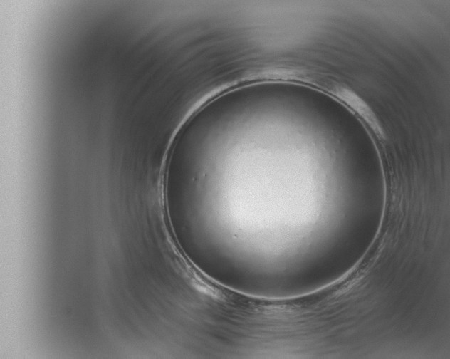 X0000072941436200607282152