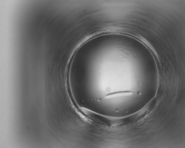 X0000072941437200607282152