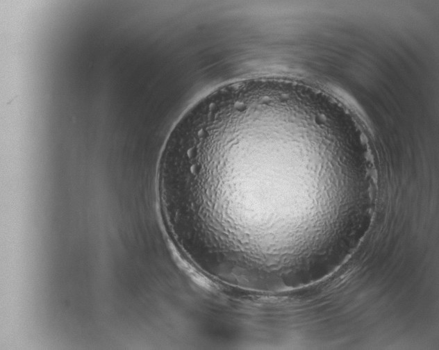 X0000072941439200607282152