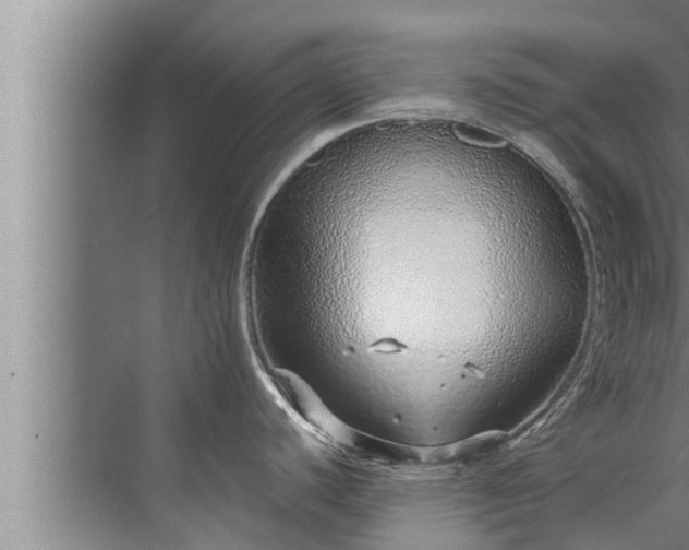 X0000072941440200607282152