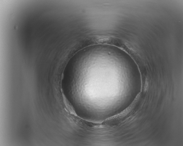 X0000072941441200607282151