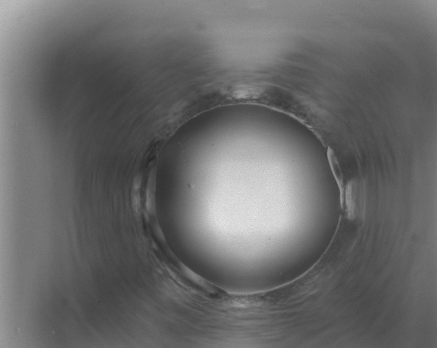 X0000072941443200607282151