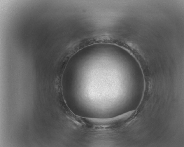 X0000072941445200607282151