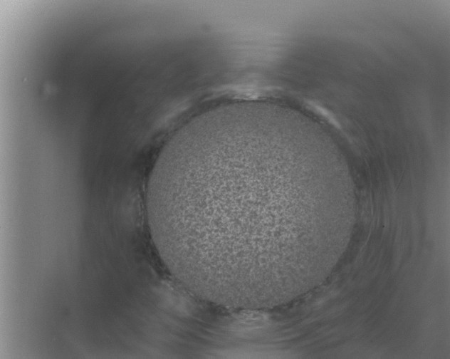 X0000072941446200607282151