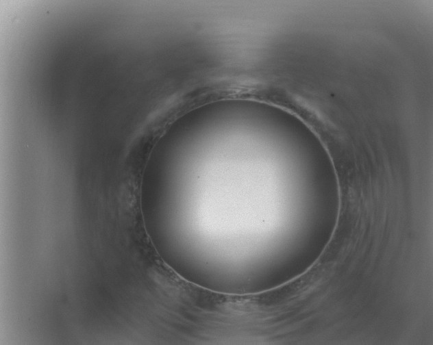 X0000072941447200607282151