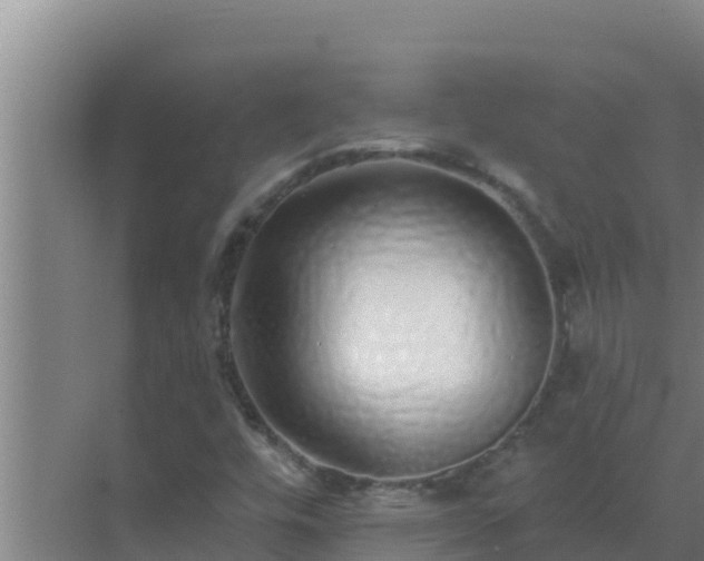 X0000072941448200607282151