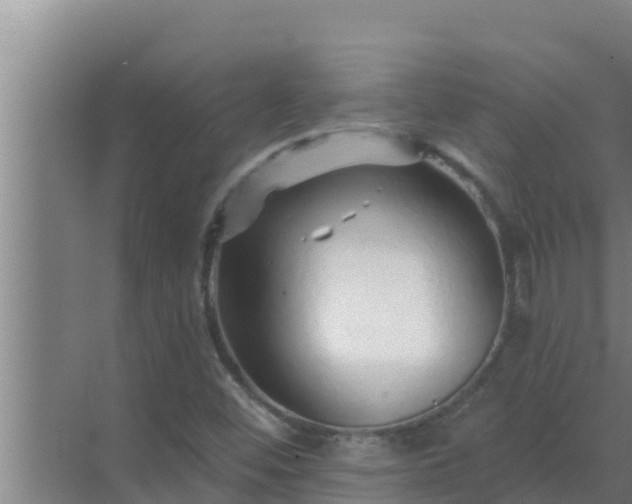 X0000072941452200607282151