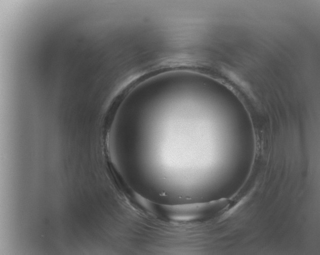 X0000072941453200607282151