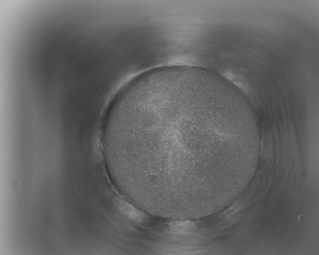 X0000072941454200607282151