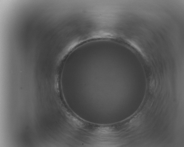 X0000072941455200607282151