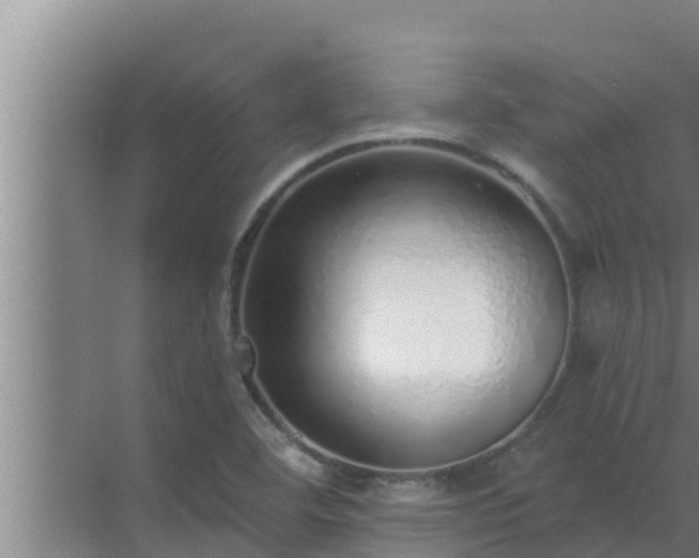 X0000072941460200607282151