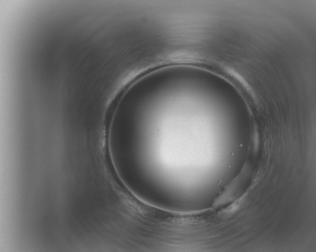 X0000072941461200607282151