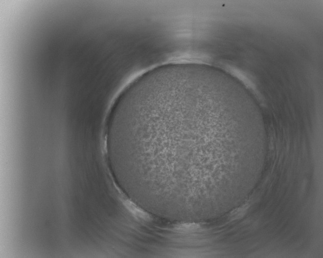 X0000072941462200607282151