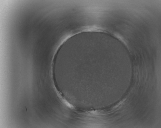 X0000072941463200607282151