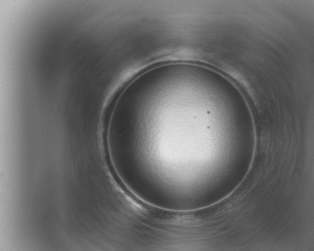 X0000072941464200607282151