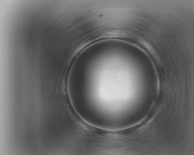 X0000072941465200607282151