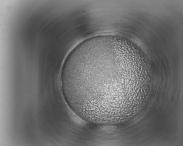 X0000072941466200607282151