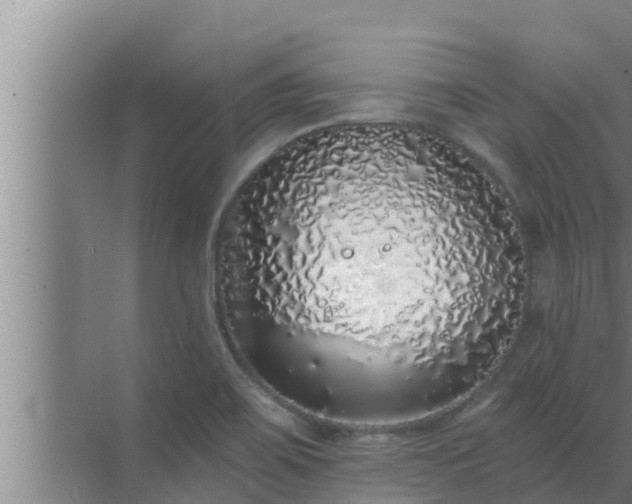 X0000072941467200607282151