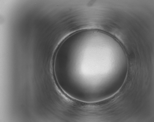 X0000072941468200607282151