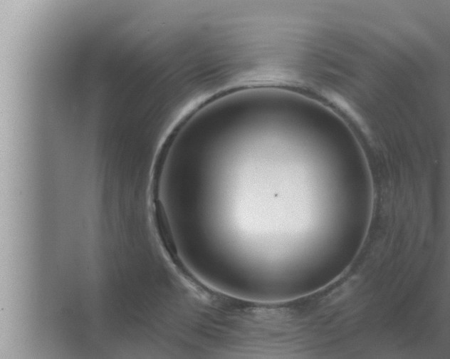 X0000072941469200607282150