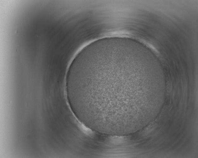 X0000072941470200607282150