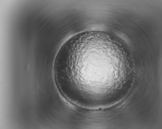 X0000072941471200607282150