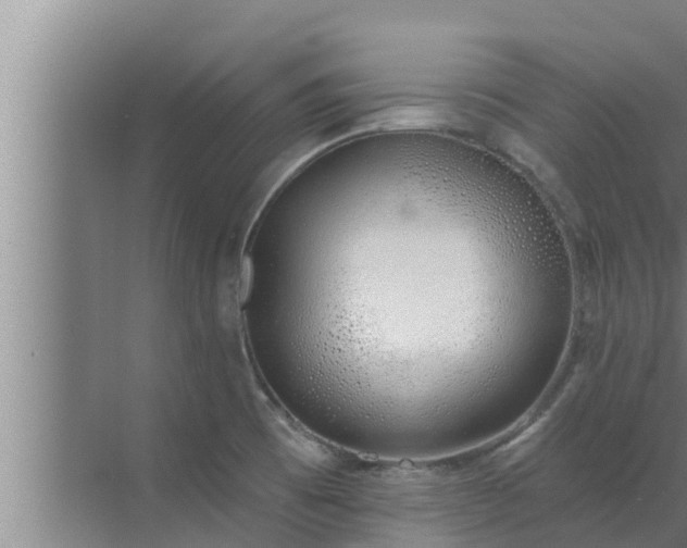 X0000072941473200607282150