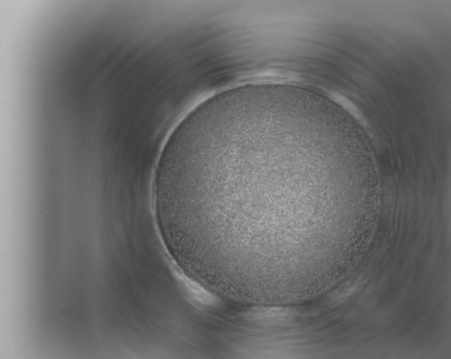 X0000072941474200607282150