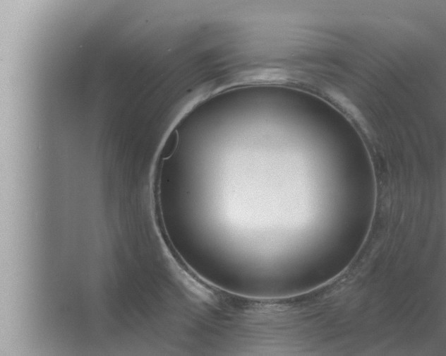 X0000072941475200607282150