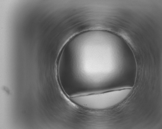 X0000072941476200607282150