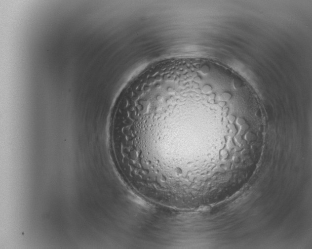 X0000072941477200607282150