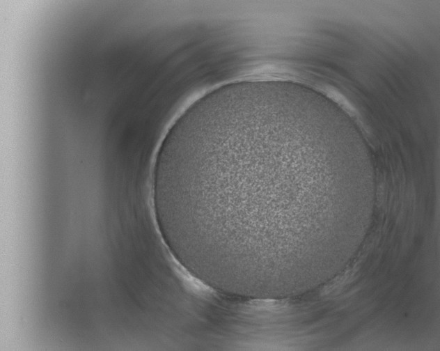 X0000072941478200607282150