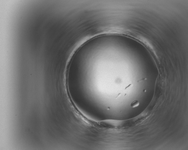 X0000072941480200607282150