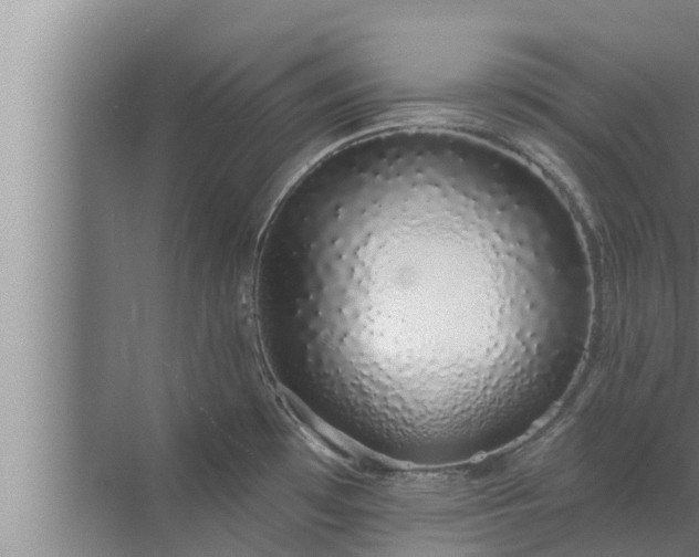 X0000072941481200607282150