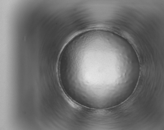 X0000072941482200607282150