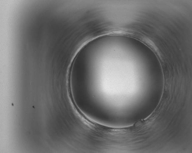 X0000072941483200607282150