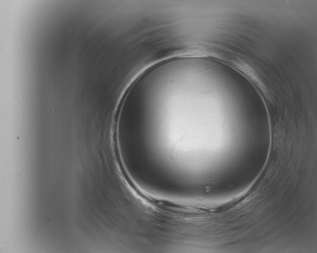 X0000072941484200607282150